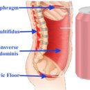 이에스짐 이미지