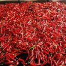 욱이네 농장 이미지