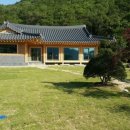 황토와소나무 이미지