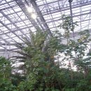 한밭 수목원 열대 식물원 이미지