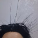 후즈팝플레이스