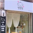 멍멍멍 | 향기까지 챙기는 미용실, 우리 아이가 다시 찾고 싶어한 곳 – 본오동 멍멍멍 후기