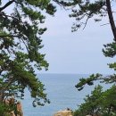 대왕암공원2(용놀이터) 이미지