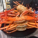 홍게왕국 | [내돈내산] 강원도 주문진 맛집, 홍게 무한리필 홍게왕국 솔직후기
