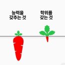 게코카페티라노 - 수원시 팔달구 행궁로 19 | 게코카페티라노