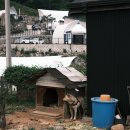 후지 X-T5 남기는 일상 사진 and 합천 가볼만한 곳