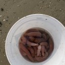 샾 펜션 이미지