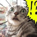 OA실무활용(한글&파워포인트&엑셀) 이미지