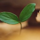 생명한의원 이미지