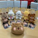 어스(uss) | 원어스, 어스스 5주년 인형 5마리 데려온 후기 (ONEUS 5TH ANNIVERSARY 'USS' DOLL)