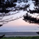 꼰띠고애견펜션1 이미지