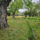 유당공원 내 비군 이미지