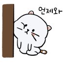 황금장식 - 수원시 권선구 정조로 518 | 황금장식