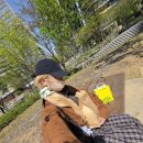 싸일러 | [용산빵집] sailor (싸일러 용산) 퀸아망 후기