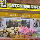 핑미핑미 인형뽑기 이미지