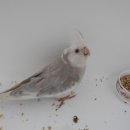 율하동로 이미지