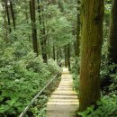 오아시스펜션 이미지