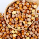 박경철농장 이미지