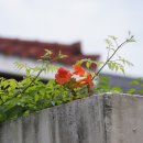 신갈유치원 이미지