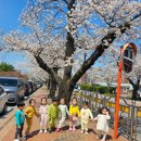 숲앤아이어린이집 이미지