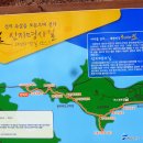 신지도 Daum카페