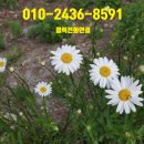 금수강산부동산중개 이미지