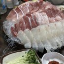 왔구나 회 이미지