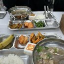 서완영 | 일상 모음