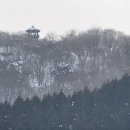 통나무펜션&편백쉼터 이미지