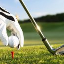 동탄골프랜드 이미지