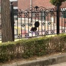 성실 태권도 | [월간일기] 2026년 3월 :: 2학년 시작, 단단하게 만들어 줄 실패의 경험, 태권도 대회