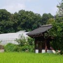 찜통더위 덕분에 이미지