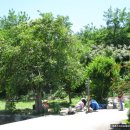 솔밭집민박 이미지