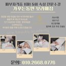 숲칼프보라매 이미지