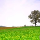 수평목장 이미지