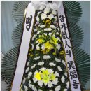 대성식물병원 이미지