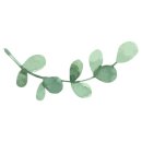 우일유치원 이미지