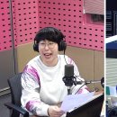 진영이네