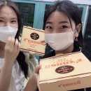 보니스 이미지