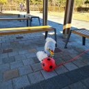 해안슈퍼 이미지