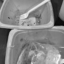 샐러드밥 상무점 이미지