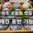 신가로 | 속초 모듬회 맛집 애견동반 가능 신가횟집 후기