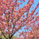 닥밭골 벽화마을 이미지