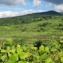 기호목장 이미지