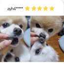 큐어랩스