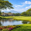 시니어 영어(심화) 이미지