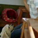 놀고가개 이미지