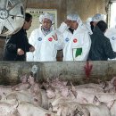 광일축산 이미지