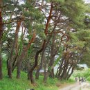 선돌촌마을 이미지