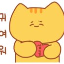 컴리케이크하우스